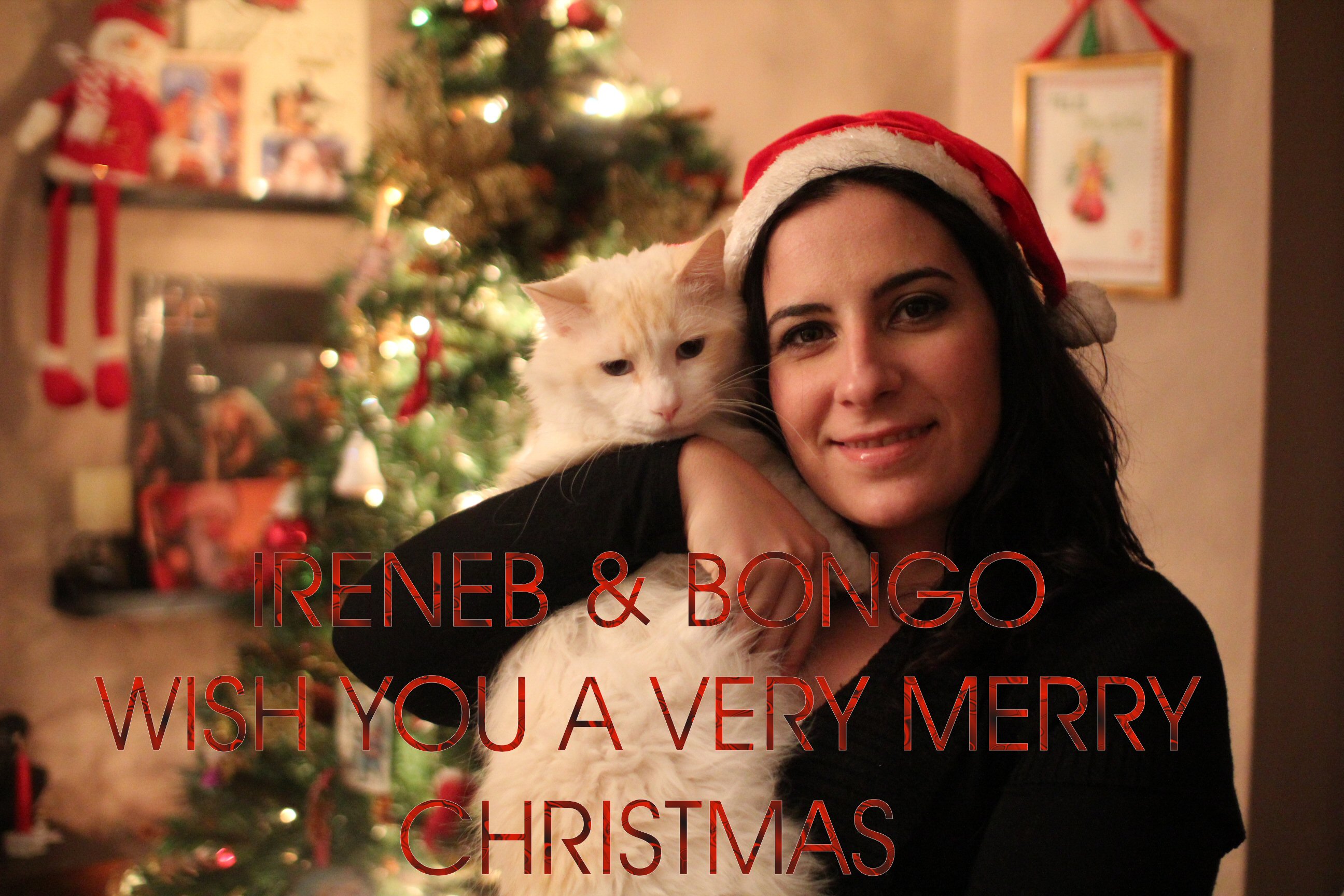 IreneB & Bongo want to wish you a very Merry Christmas!